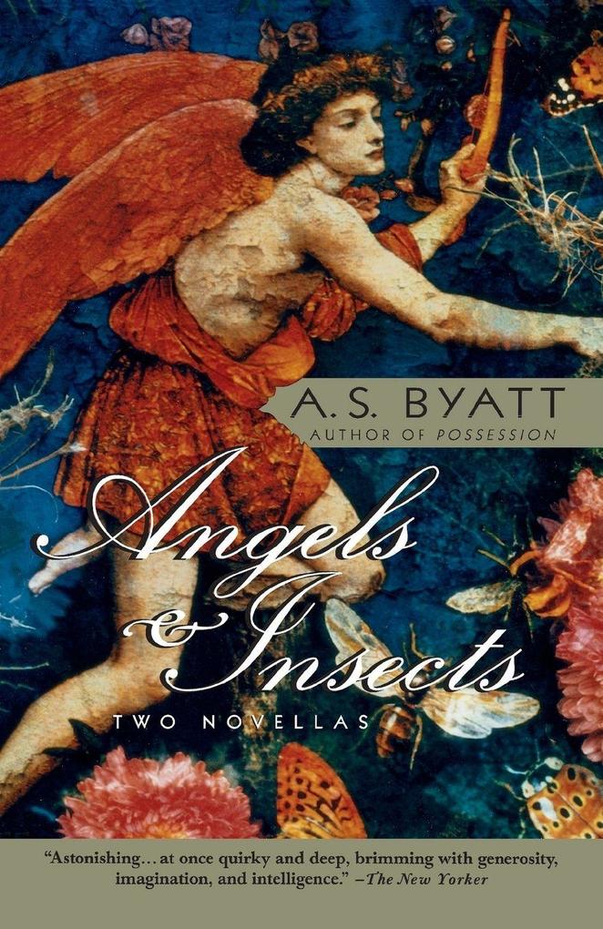 Angels & Insects