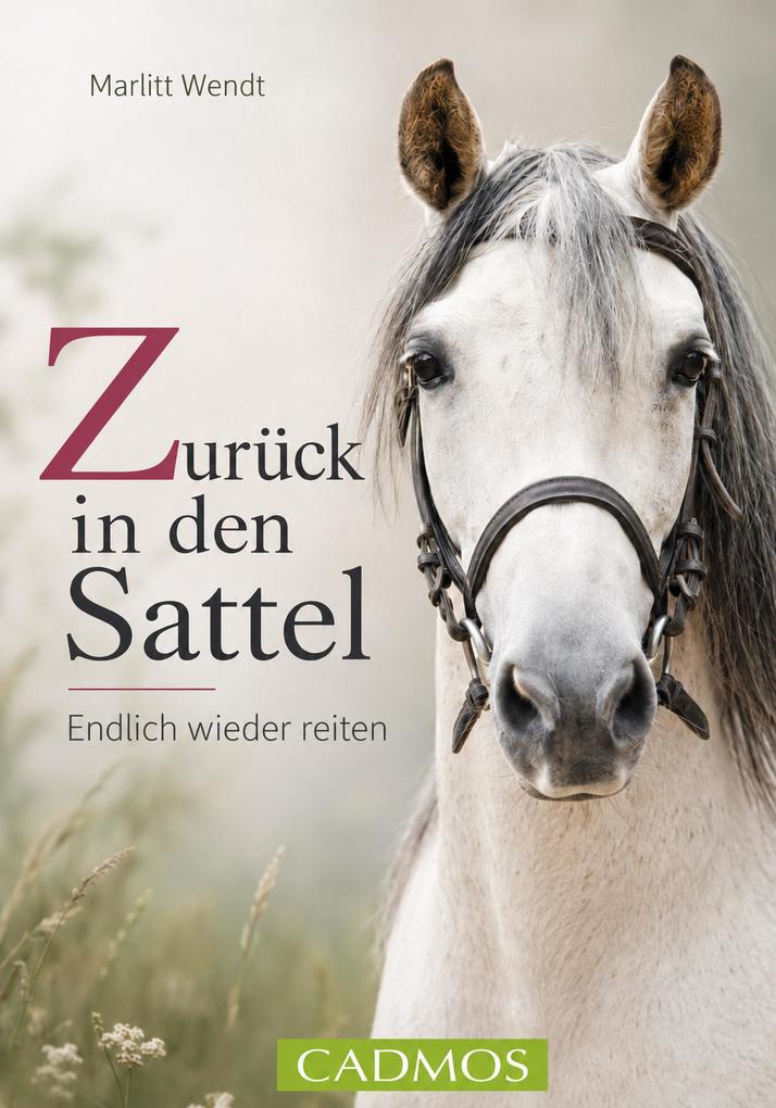 Zurück in den Sattel