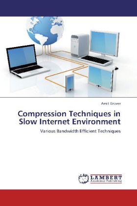 Compression Techniques in Slow Internet Environment
