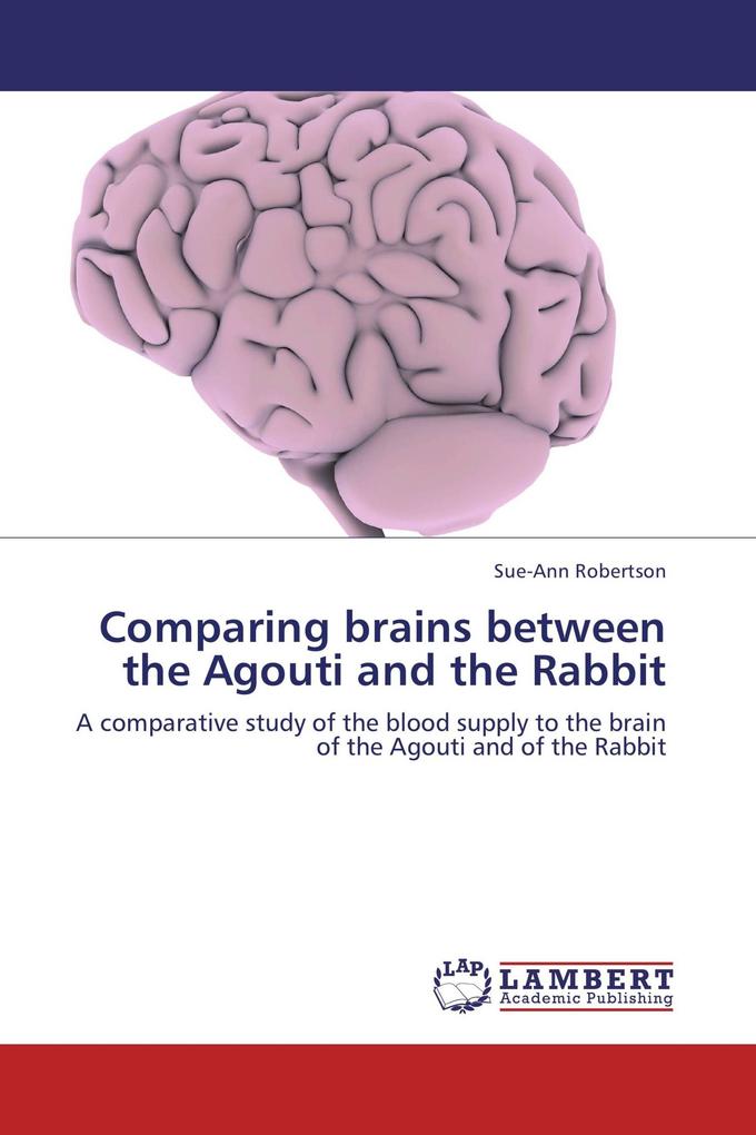 Comparing brains between the Agouti and the Rabbit
