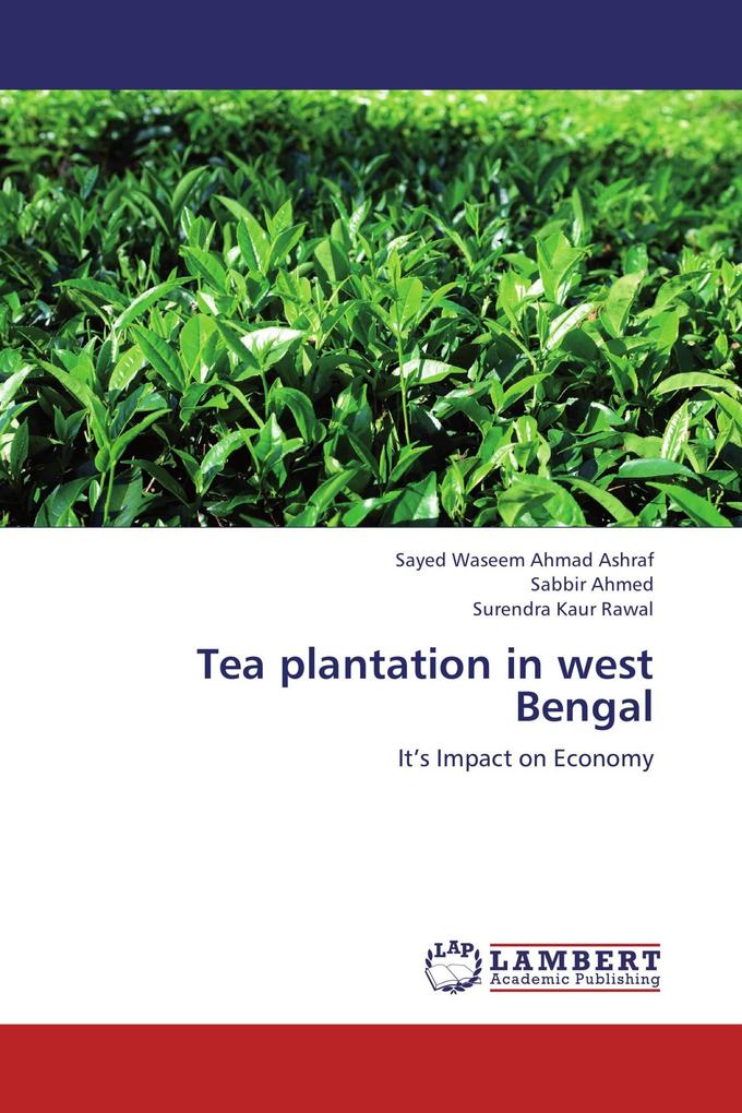 Tea plantation in west Bengal