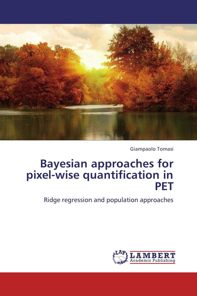 Bayesian approaches for pixel-wise quantification in PET