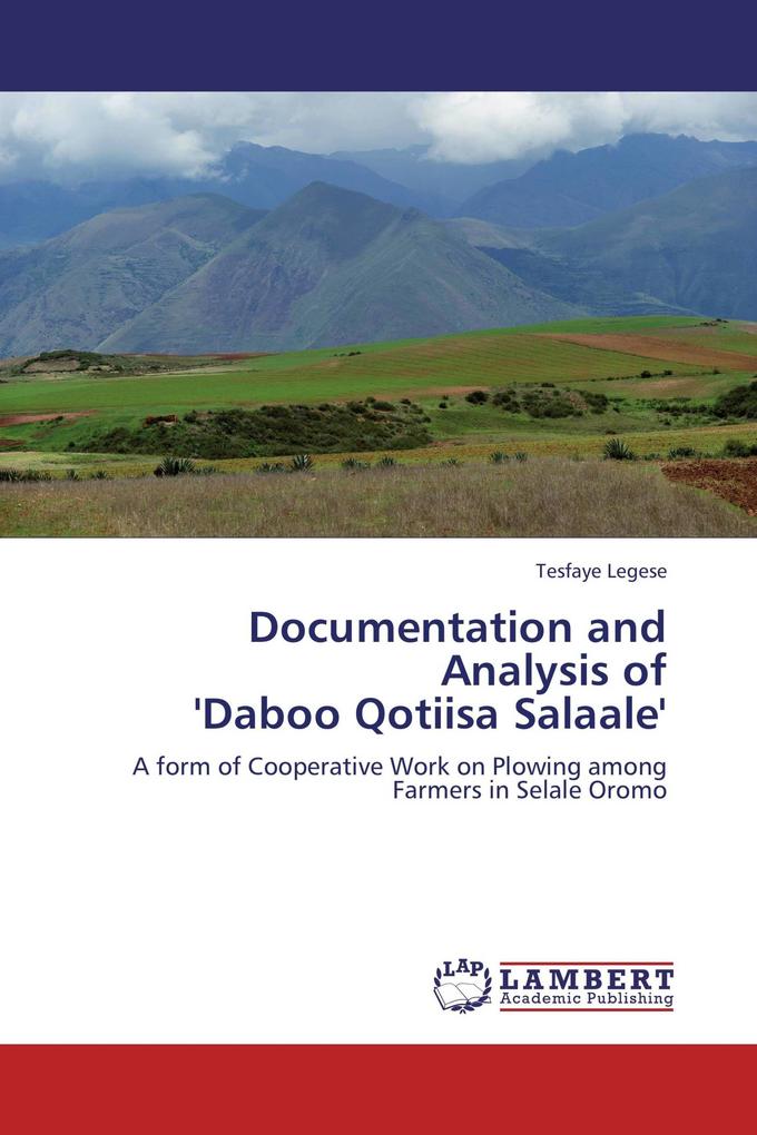 Documentation and Analysis of 'Daboo Qotiisa Salaale'