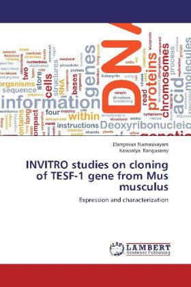 INVITRO studies on cloning of TESF-1 gene from Mus musculus