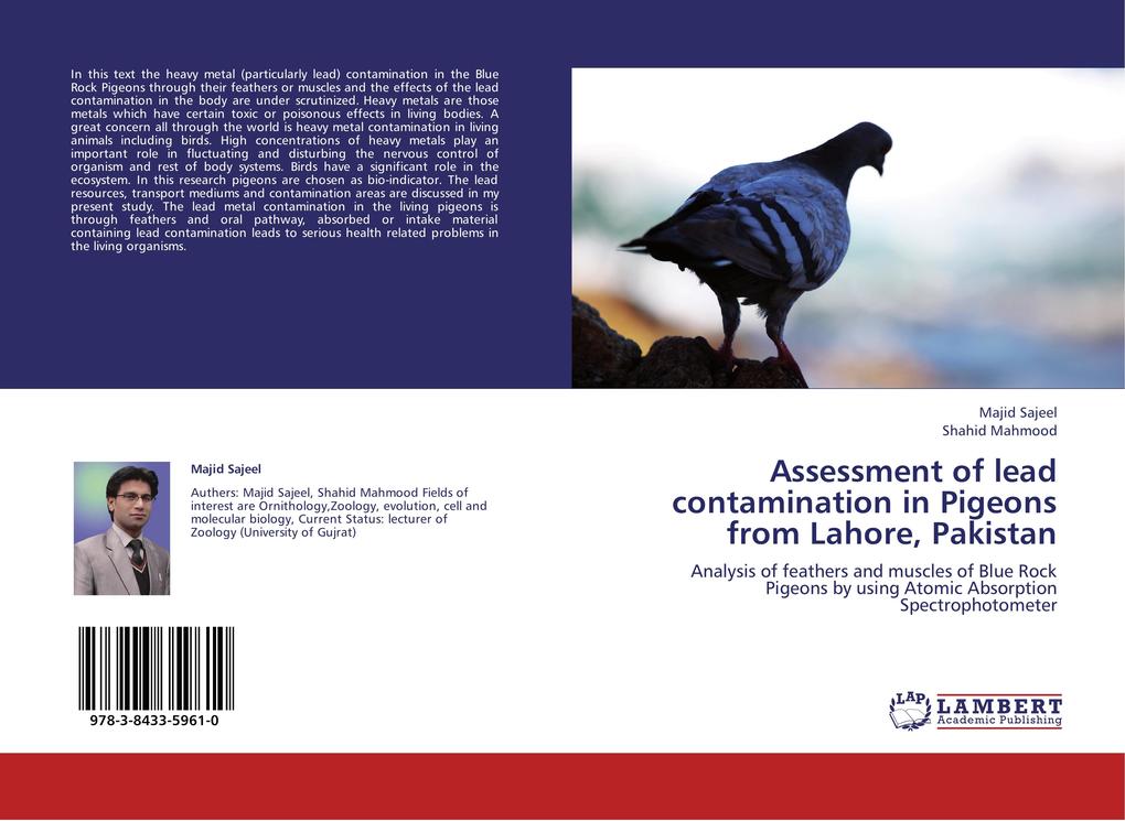 Assessment of lead contamination in Pigeons from Lahore Pakistan