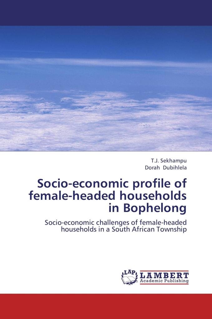 Socio-economic profile of female-headed households in Bophelong