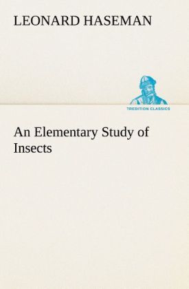 An Elementary Study of Insects