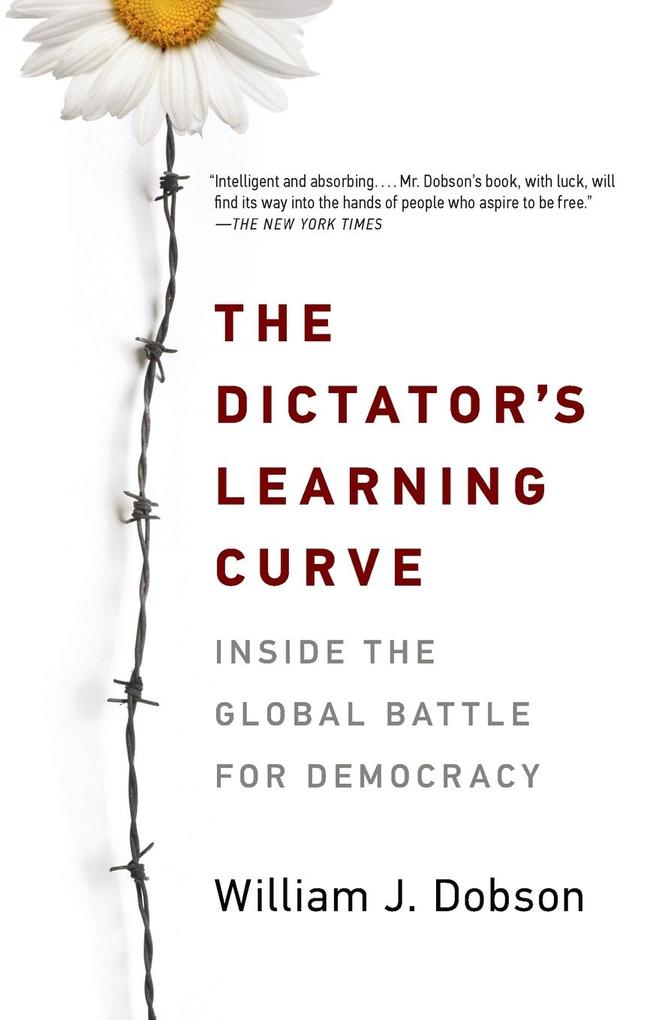 The Dictator's Learning Curve