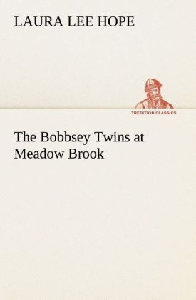 The Bobbsey Twins at Meadow Brook