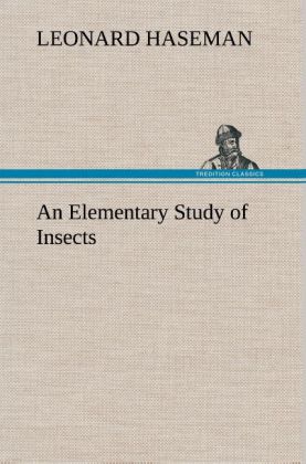 Image of An Elementary Study of Insects