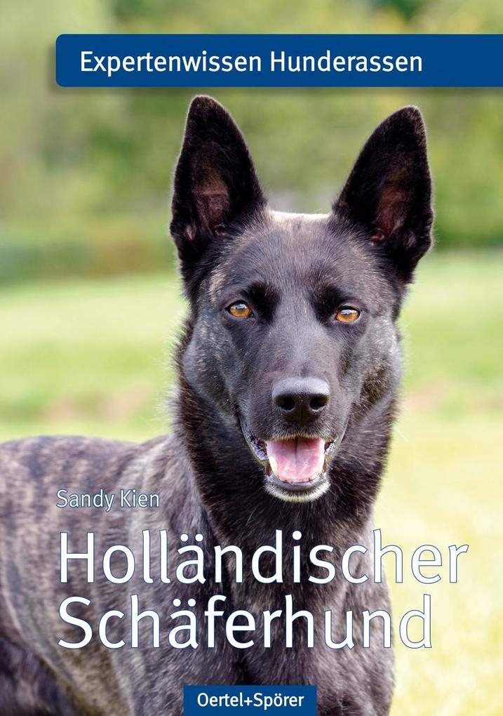Holländischer Schäferhund: Expertenwissen Hunderassen - Bild 3