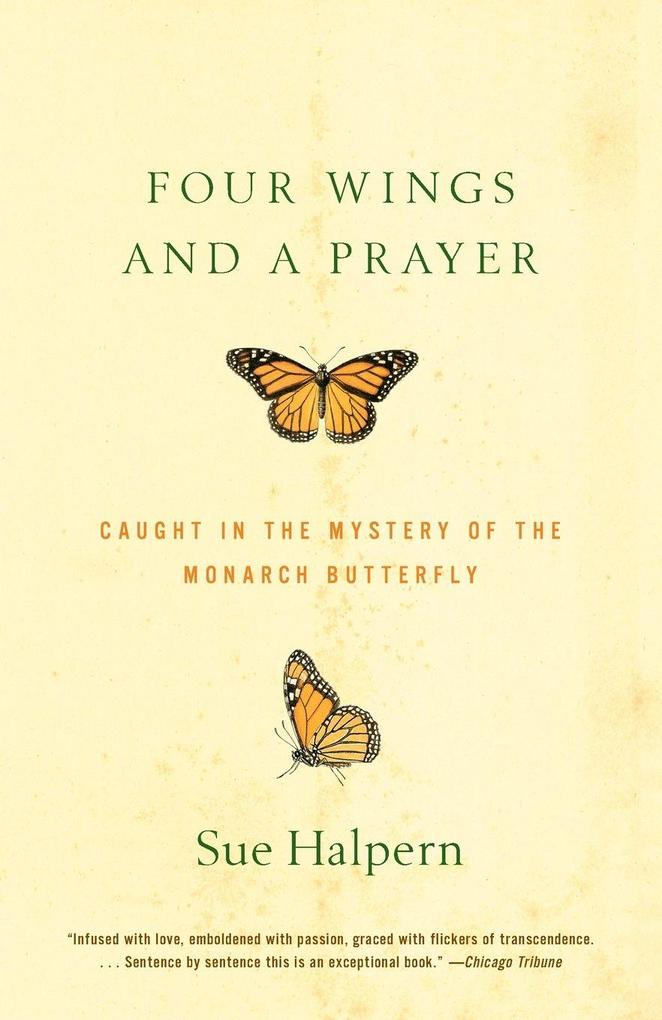 Four Wings and a Prayer