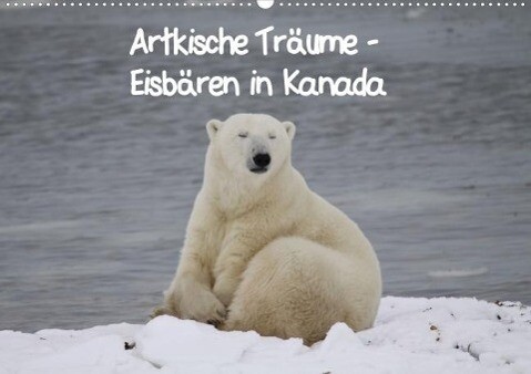Arktische Träume - Eisbären in Kanada (Posterbuch DIN A2 quer) als Buch von Thilo Scheu - Thilo Scheu