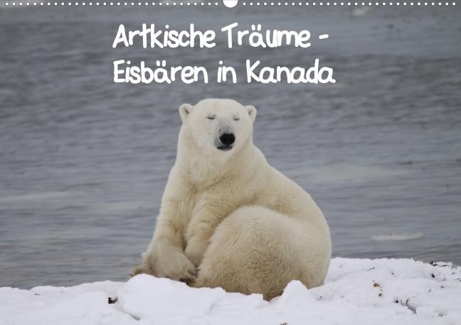 Arktische Träume - Eisbären in Kanada (Posterbuch DIN A3 quer) als Buch von Thilo Scheu - Thilo Scheu