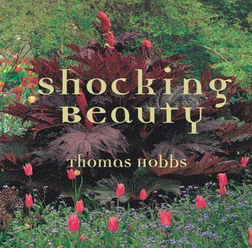 Shocking Beauty - Thomas Hobbs
