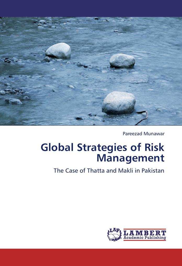 Global Strategies of Risk Management