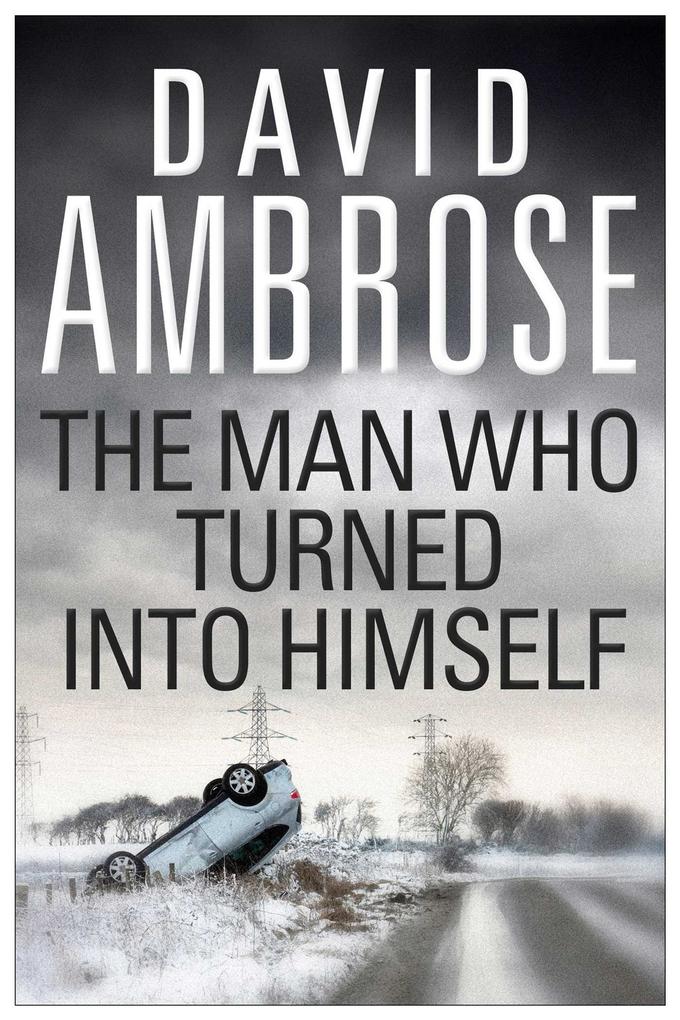 The Man Who Turned Into Himself - David Ambrose