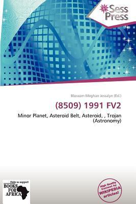 (8509) 1991 FV2