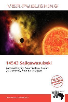 14543 Sajigawasuiseki