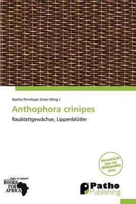 Anthophora crinipes