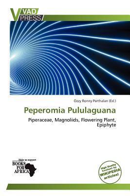 Peperomia Pululaguana