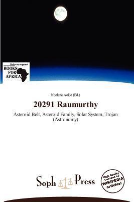 20291 Raumurthy