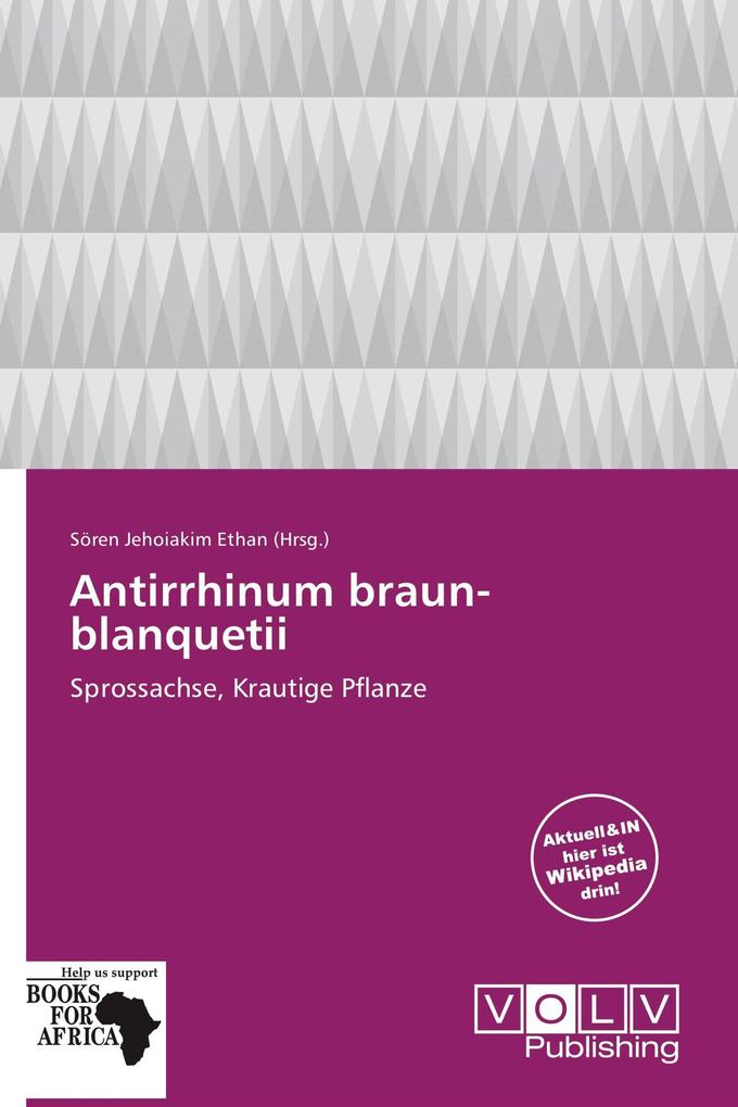 Antirrhinum braun-blanquetii