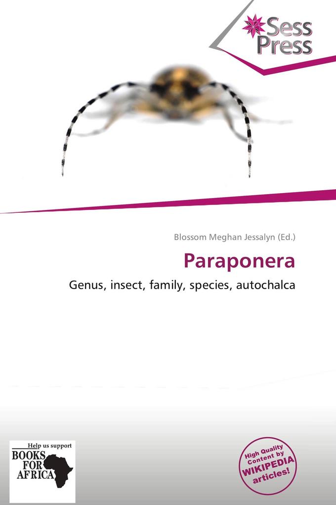 Paraponera