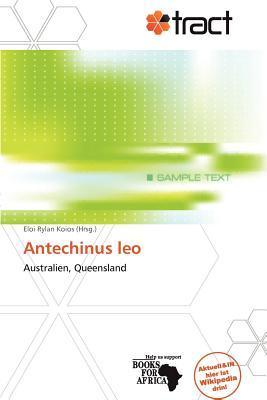 Antechinus leo