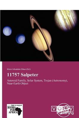 11757 Salpeter