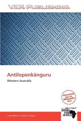 Antilopenkänguru