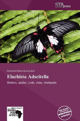 Elachista Adscitella