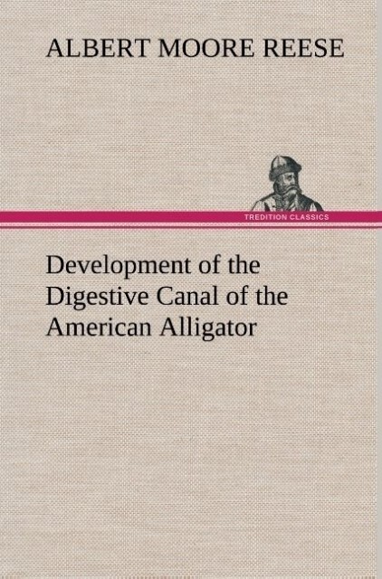 Image of Development of the Digestive Canal of the American Alligator