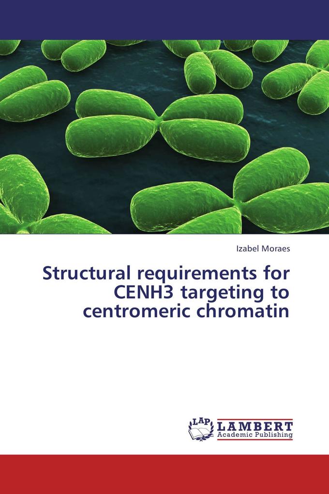 Structural requirements for CENH3 targeting to centromeric chromatin
