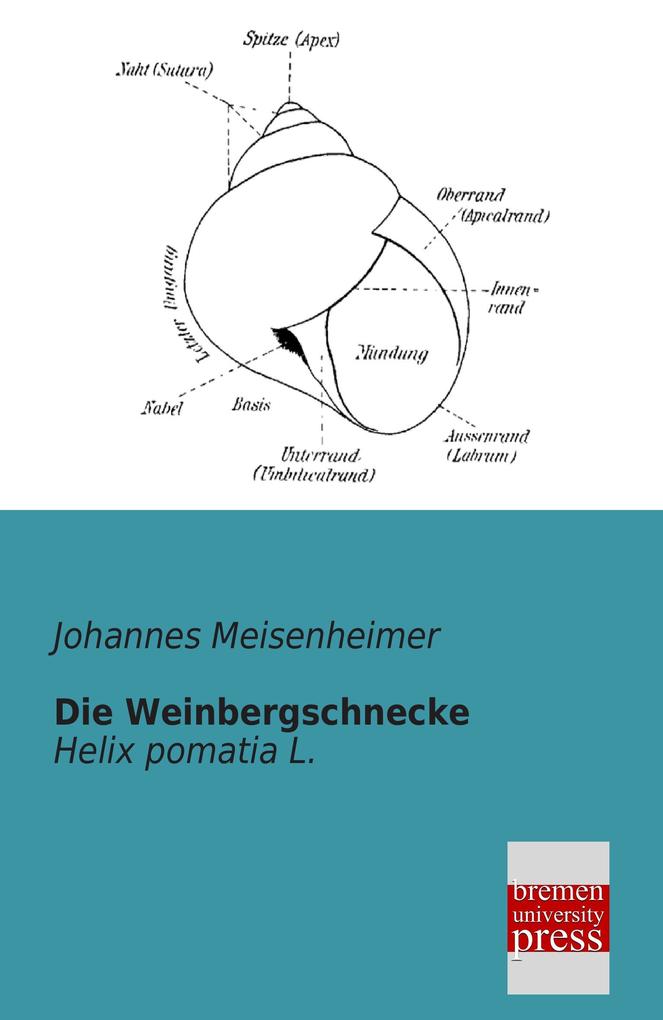 Die Weinbergschnecke