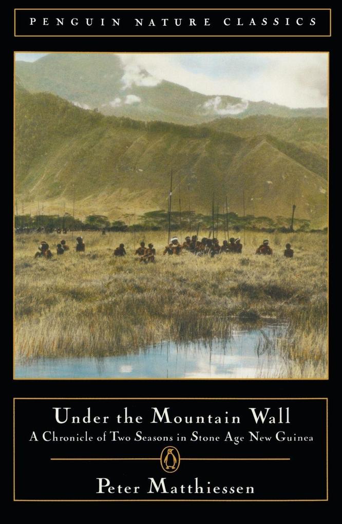 Under the Mountain Wall