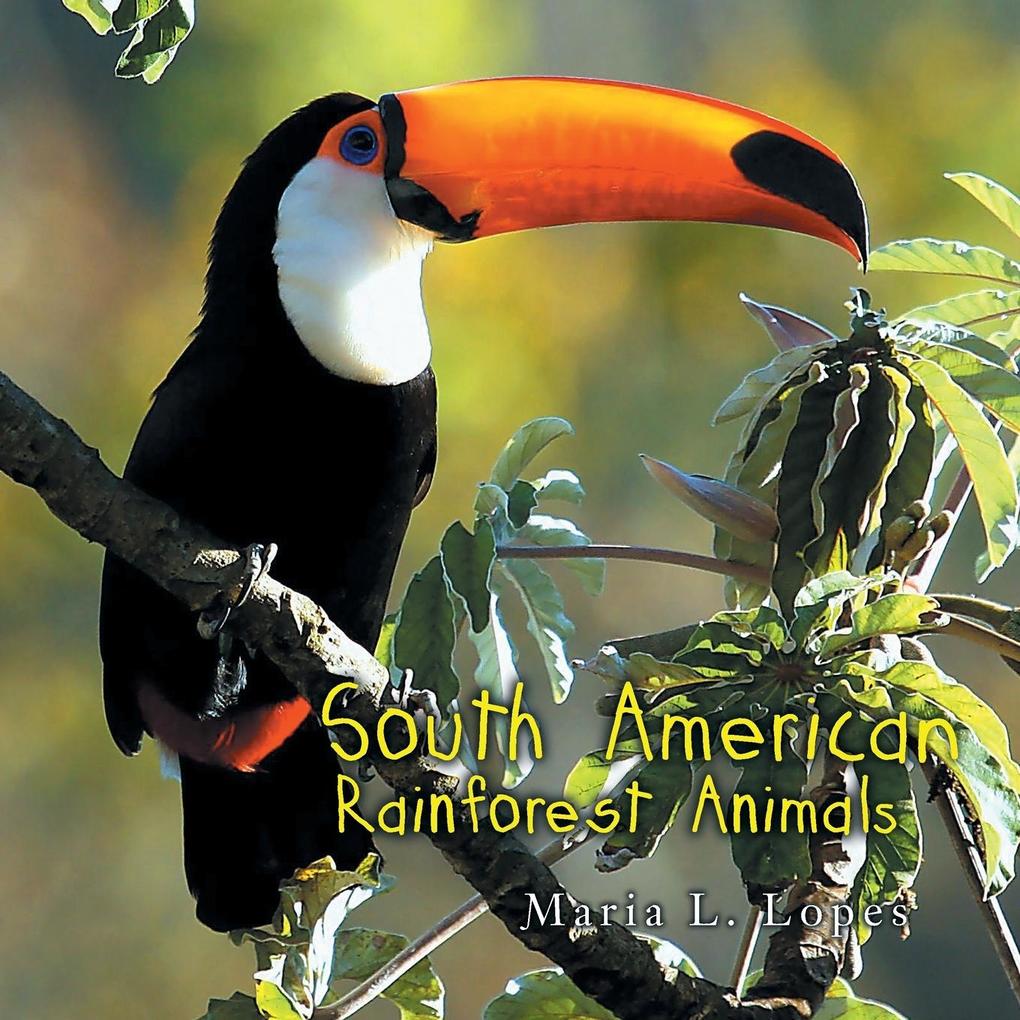 South American Rainforest Animals