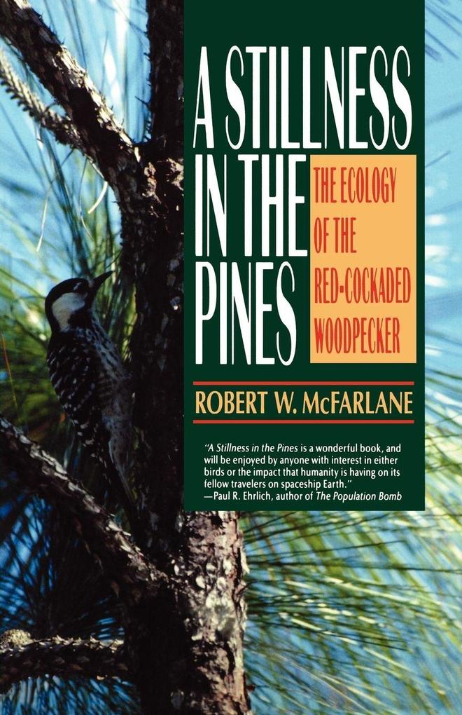 A Stillness in the Pines