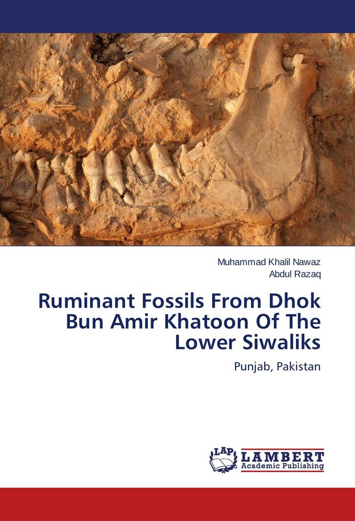 Ruminant Fossils From Dhok Bun Amir Khatoon Of The Lower Siwaliks