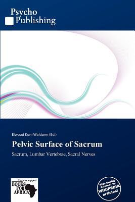 Pelvic Surface of Sacrum