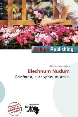 Blechnum Nudum