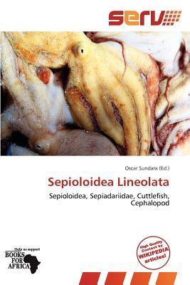 Sepioloidea Lineolata