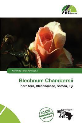 Blechnum Chambersii