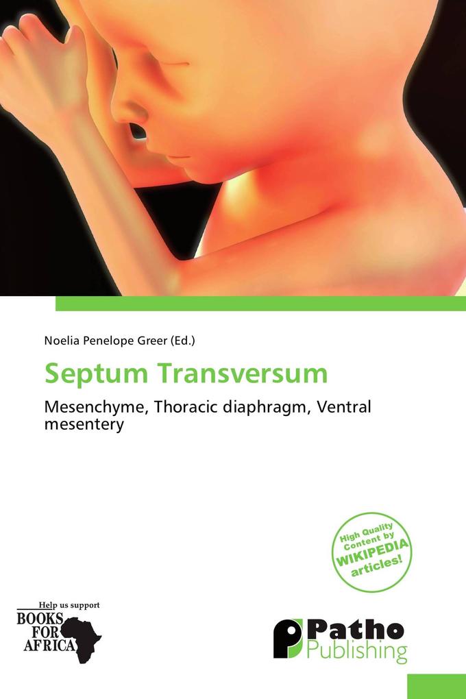 Septum Transversum