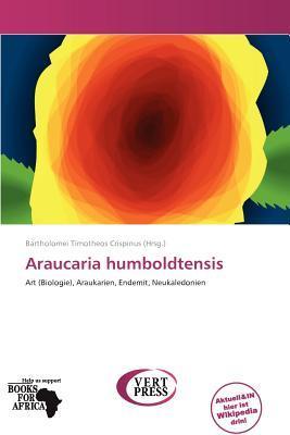 Araucaria humboldtensis