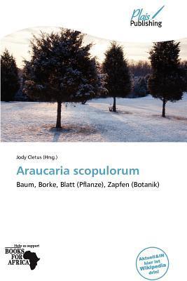 Araucaria scopulorum