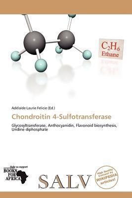 Chondroitin 4-Sulfotransferase
