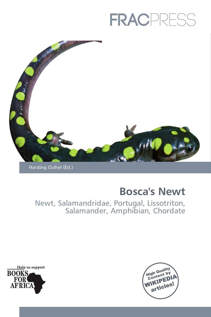 Bosca's Newt