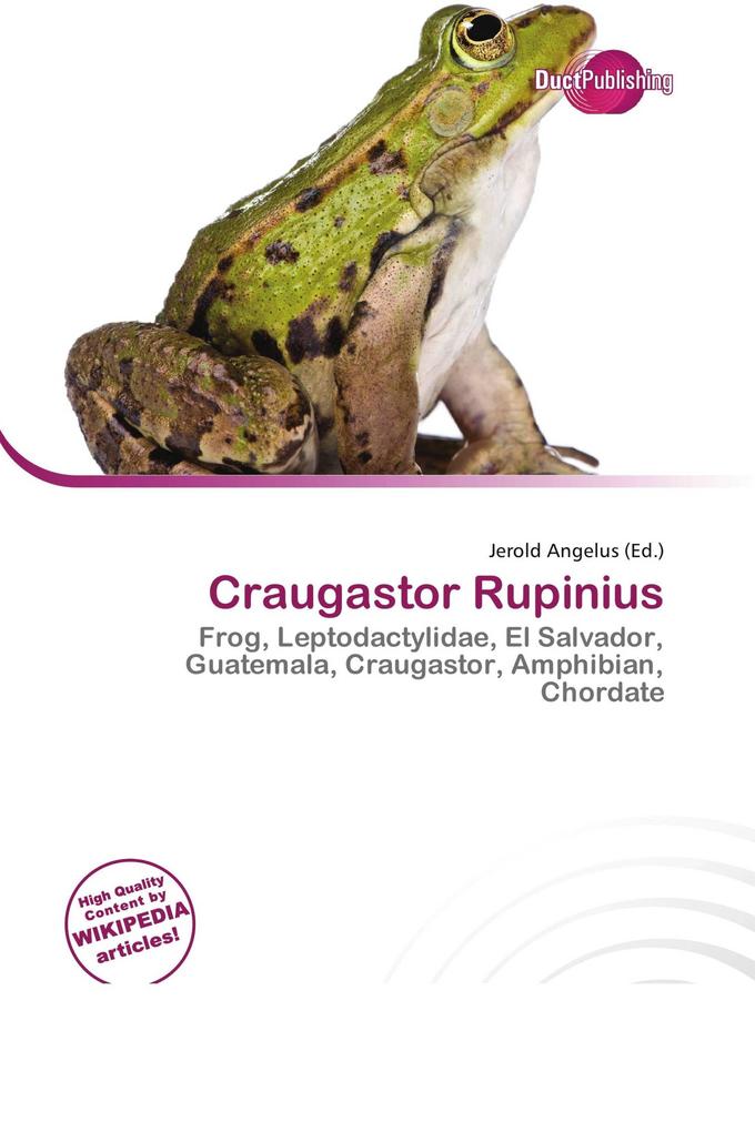 Craugastor Rupinius