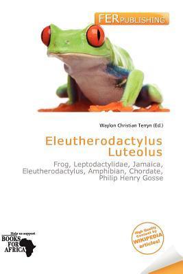 Eleutherodactylus Luteolus